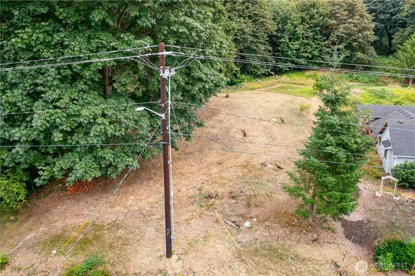 a view of a yard with a tree