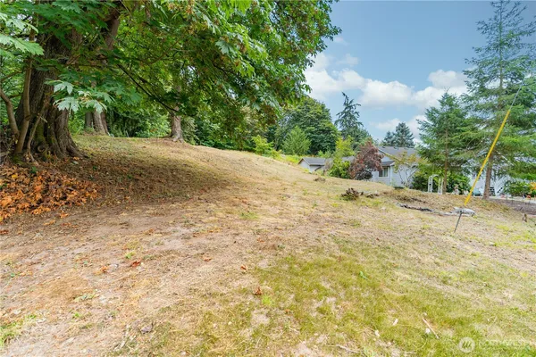a view of a yard with plants and trees