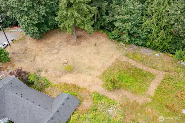a view of a yard with plants