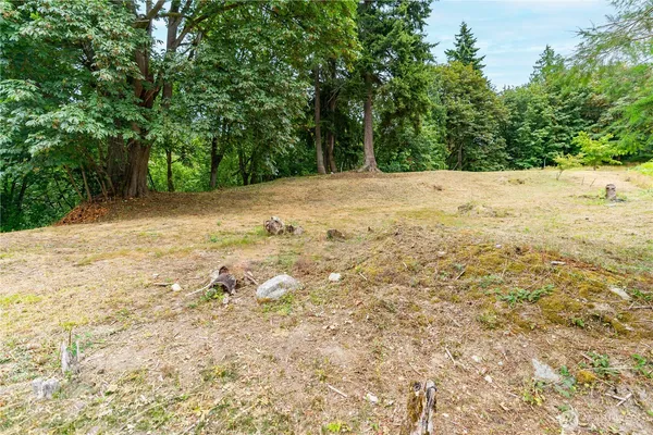 a view of a yard with trees