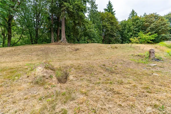 a view of a backyard of a house with trees