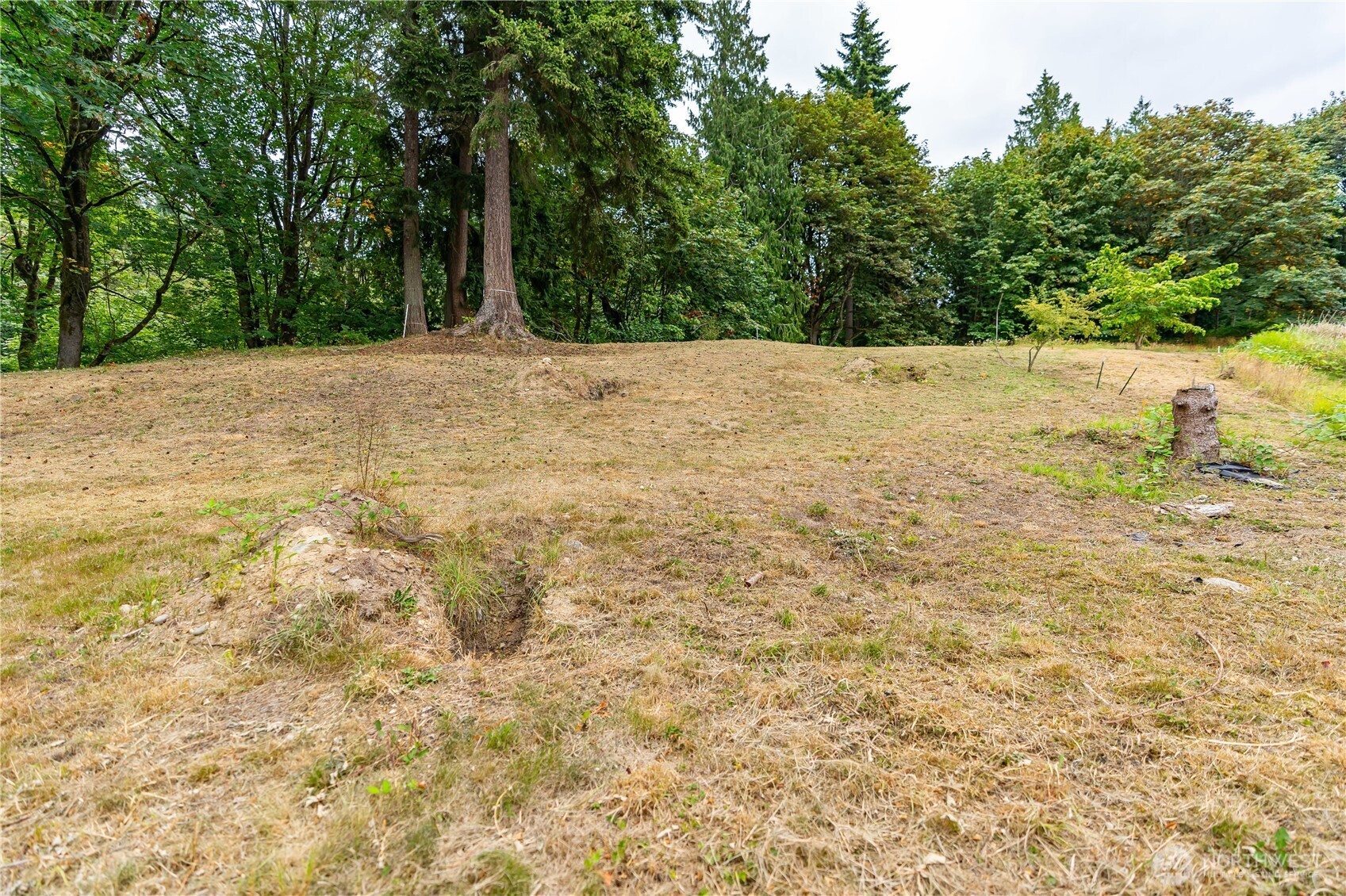 7630 Vernon Road Southeast Lake Stevens, WA 98258 - Photo 7 of 19