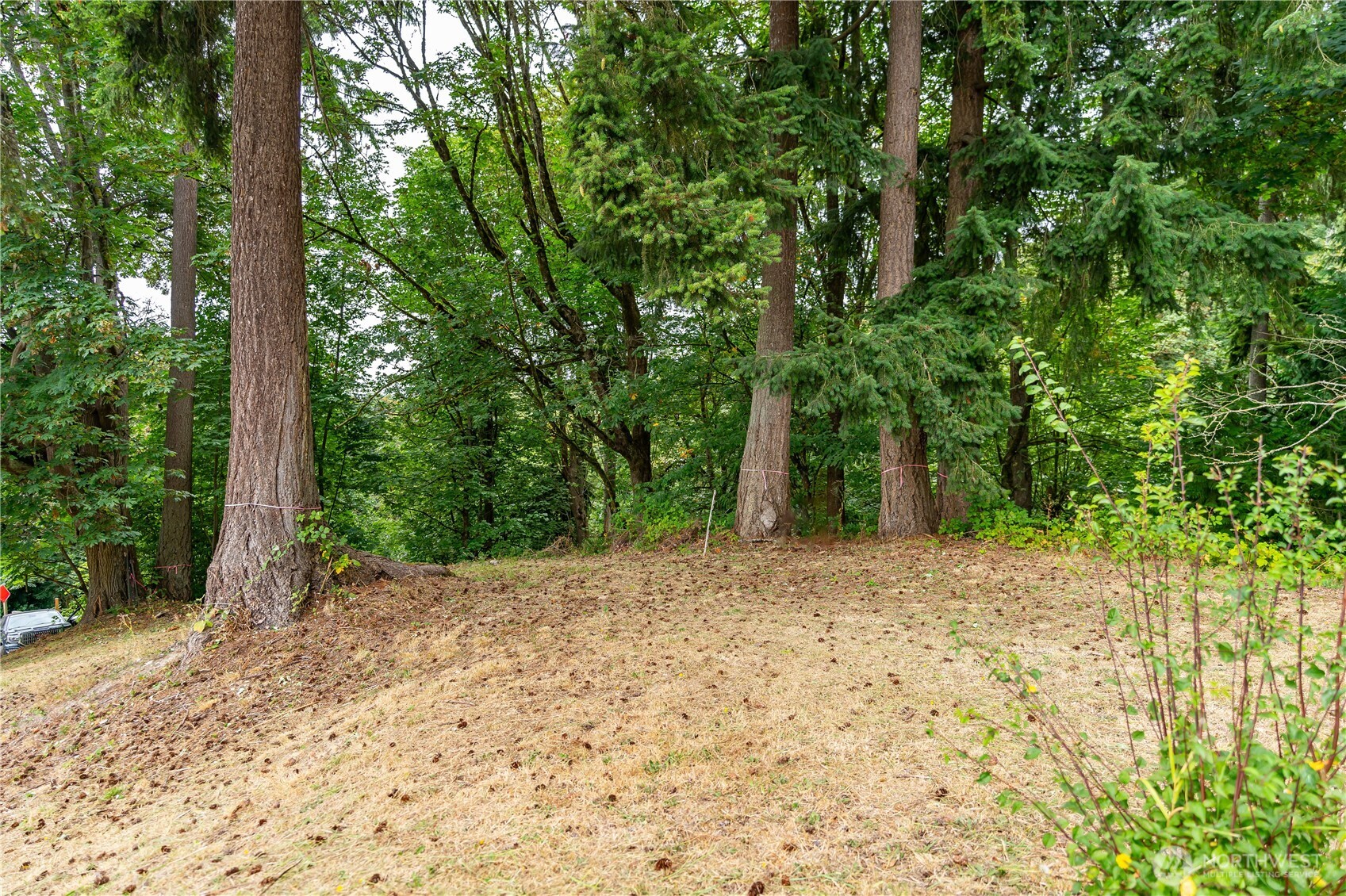 7630 Vernon Road Southeast Lake Stevens, WA 98258 - Photo 8 of 19