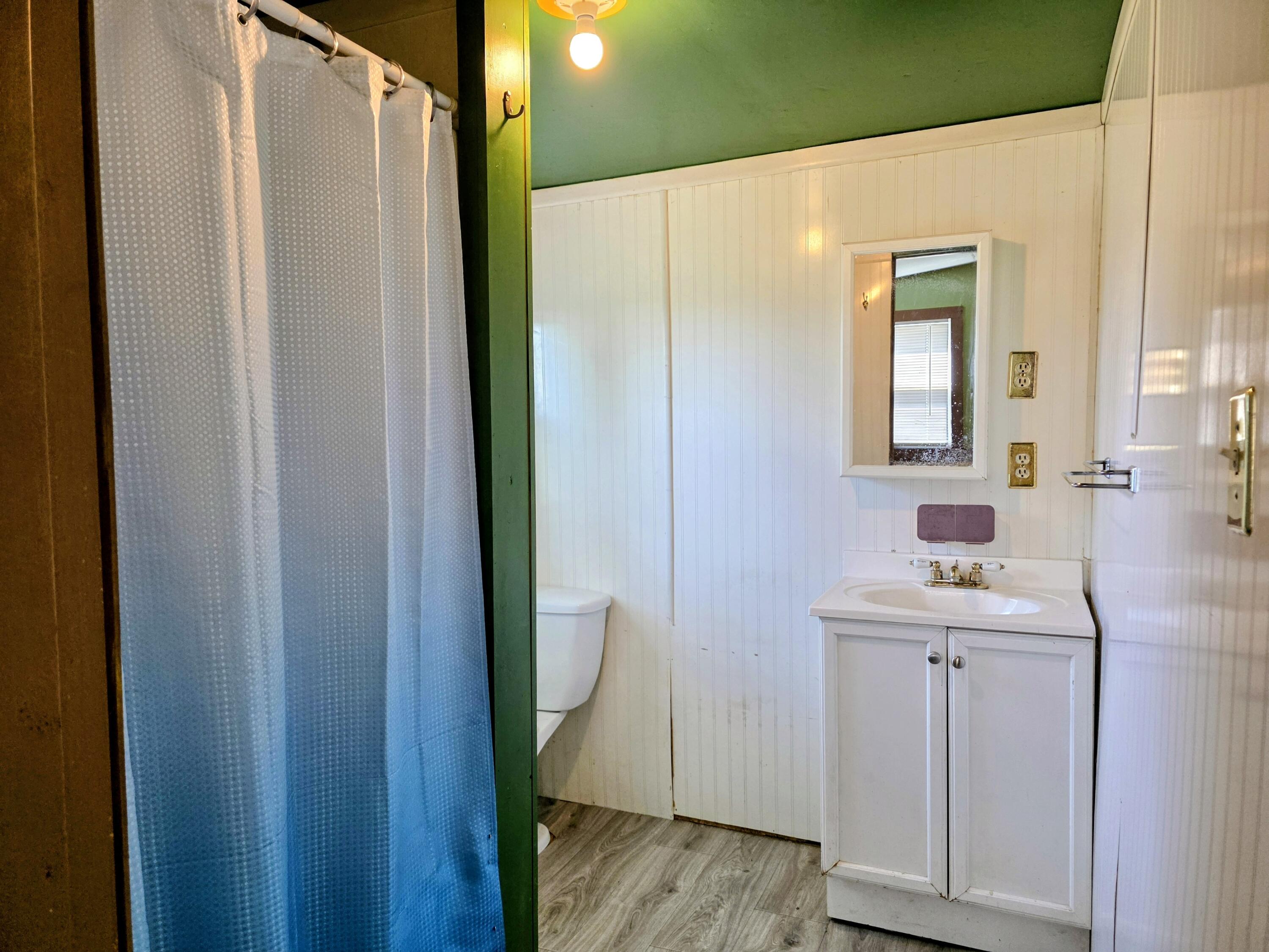 1252 Railroad Road Union City, MI 49094 - Photo 8 of 14 Primary bathroom
