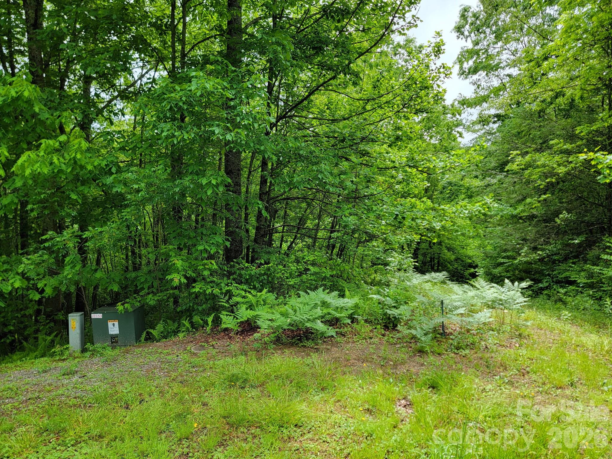 Tbd Sweetwater Rdg Road, Unit 1 Balsam Grove, NC 28708 - Photo 24 of 24 a view of a lush green space