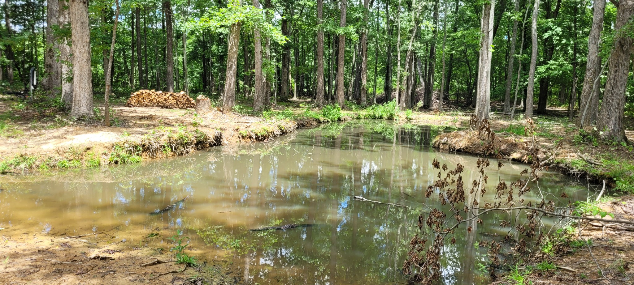 167 Freeman Fielder Road Tennessee Ridge, TN 37178 - Photo 37 of 60