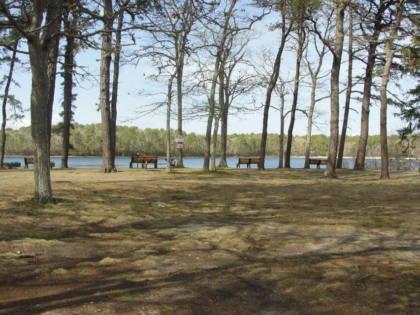 Picnic area 2
