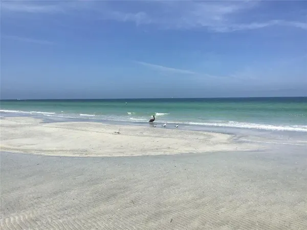 $3,800 | 1430 Gulf Boulevard, Unit 612, Clearwater Beach, FL 33767