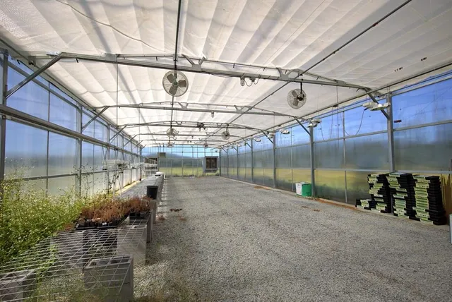 $724,000 | 1136 Nesbitt Road, Pavo, GA 31778