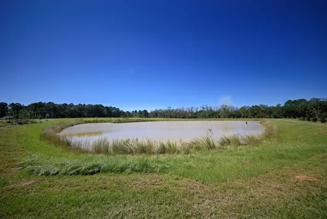 $724,000 | 1136 Nesbitt Road, Pavo, GA 31778