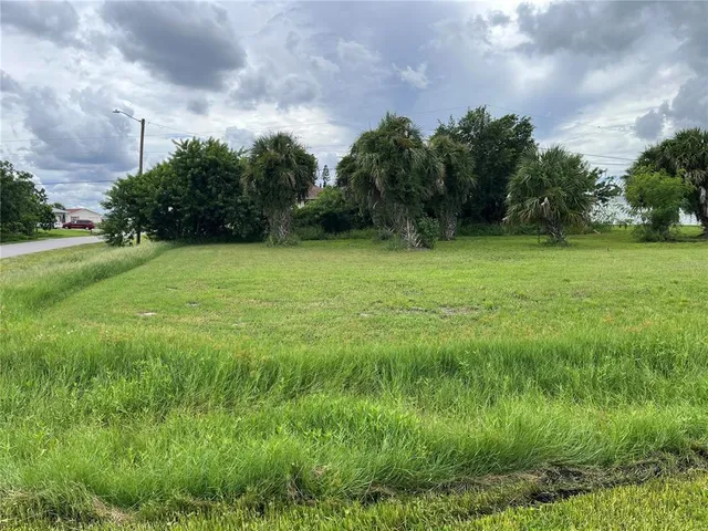 a view of grassy field with trees in the background