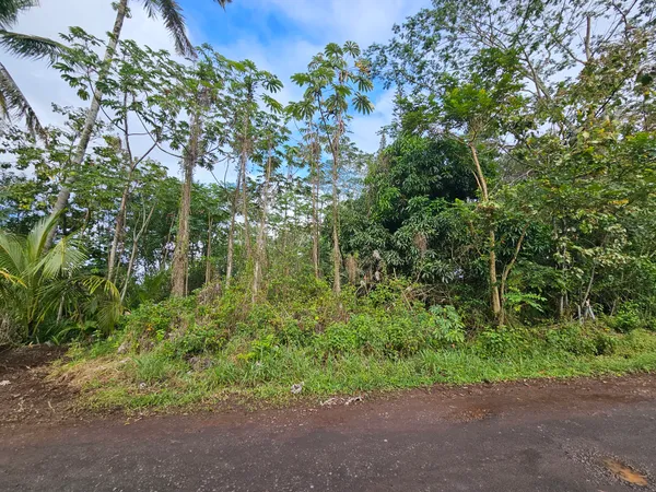 $90,000 | 82 36th Avenue, Keaau, HI 96749