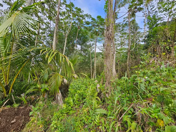 $90,000 | 82 36th Avenue, Keaau, HI 96749