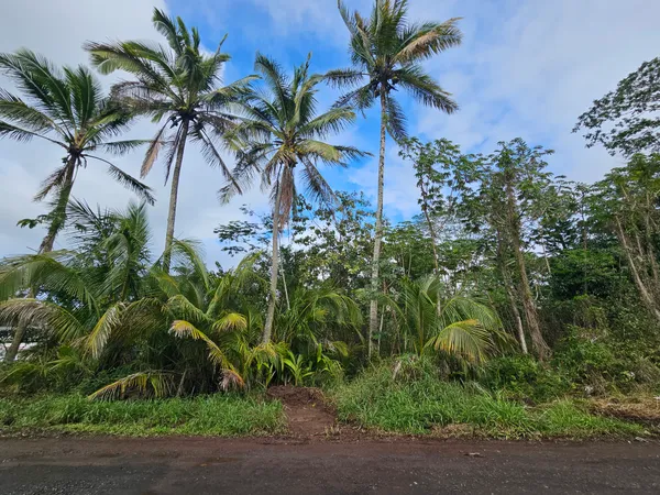 $90,000 | 82 36th Avenue, Keaau, HI 96749