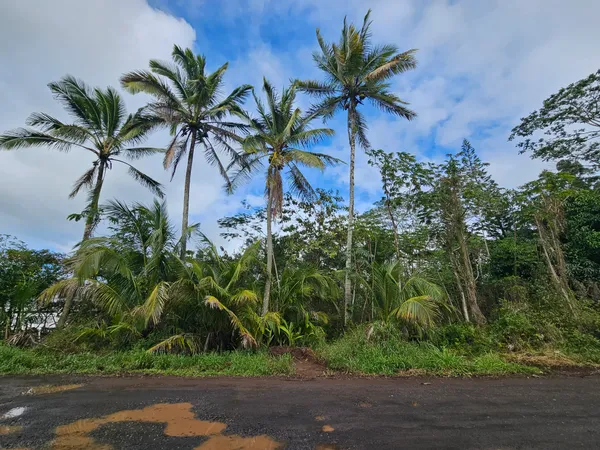 $90,000 | 82 36th Avenue, Keaau, HI 96749