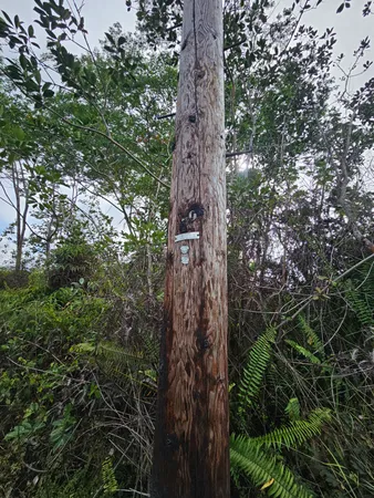 $90,000 | 82 36th Avenue, Keaau, HI 96749