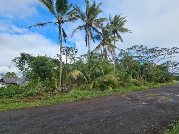 $90,000 | 82 36th Avenue, Keaau, HI 96749