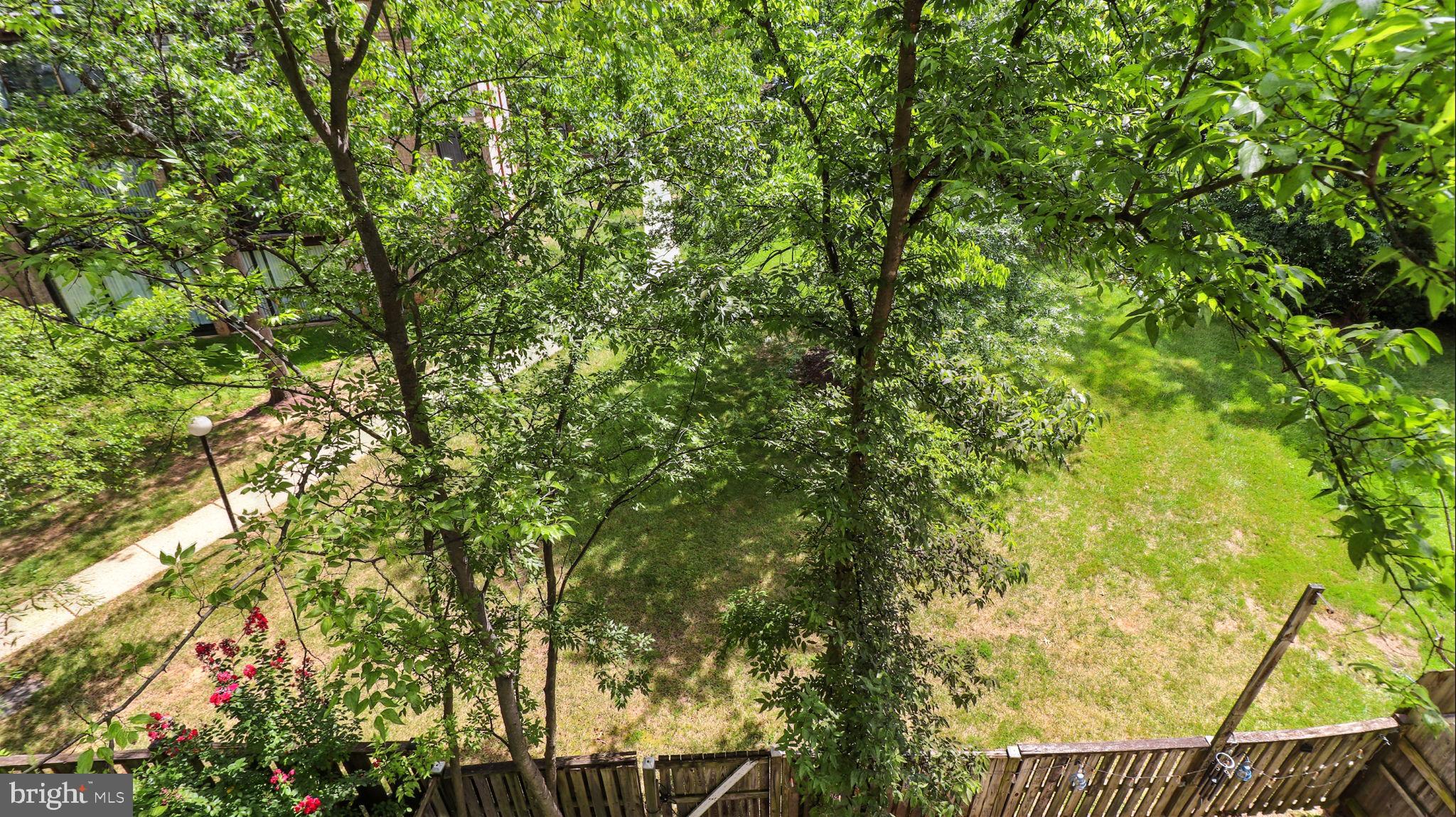 8693 Greenbelt Road, Unit 202 Greenbelt, MD 20770 - Photo 17 of 40 a view of a yard