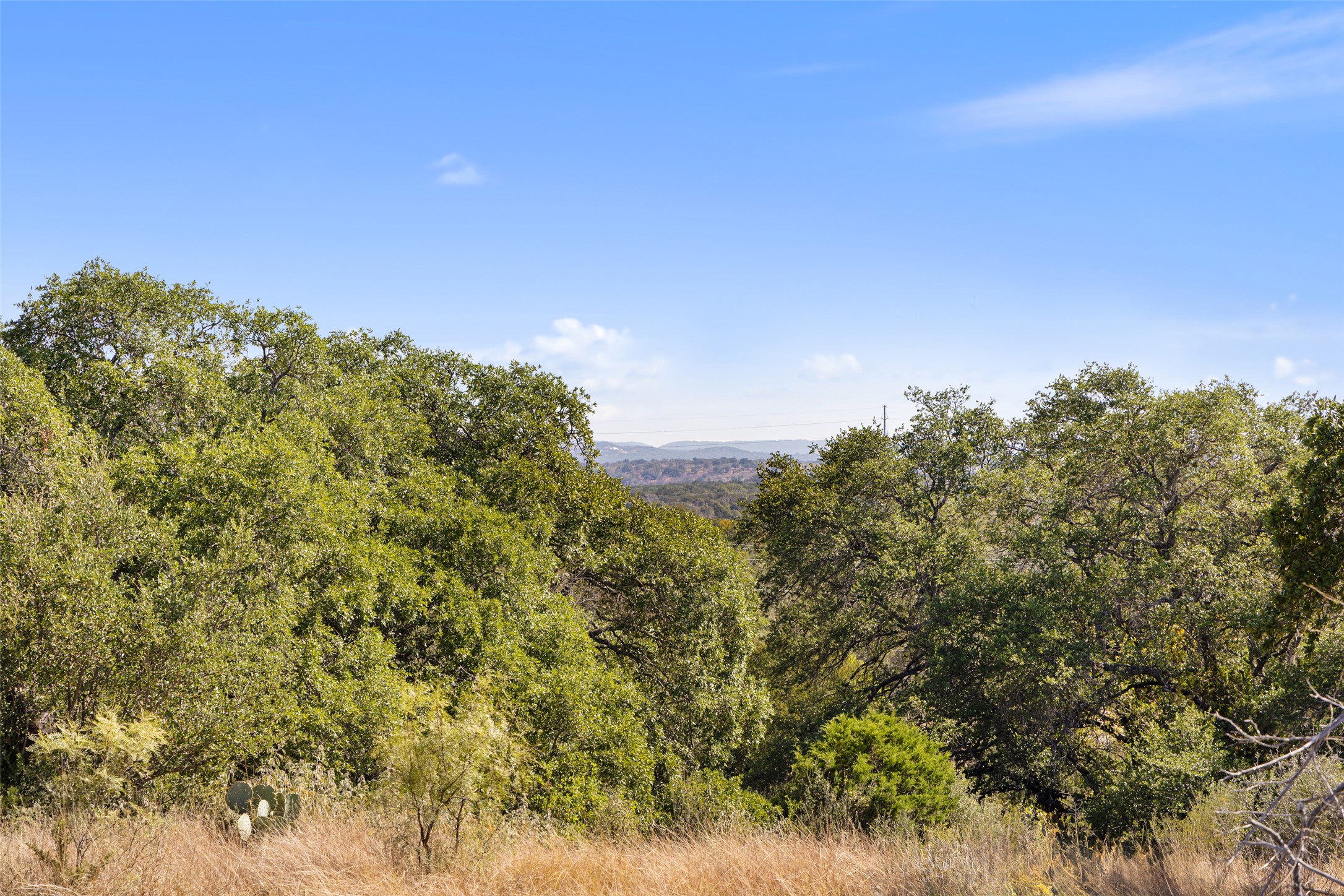 1301 Rm 2147 Marble Falls Marble Falls, TX 78654 - Photo 8 of 14 View of wooded area