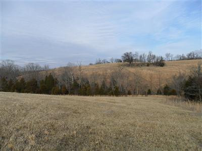 2220 Harris Ferry Road Irvine, KY 40336 - Photo 4 of 8 Photo 4