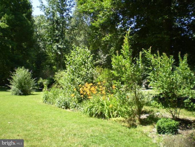 10540 Wicomico Ridge Road Charlotte Hall, MD 20622 - Photo 23 of 30 Garden