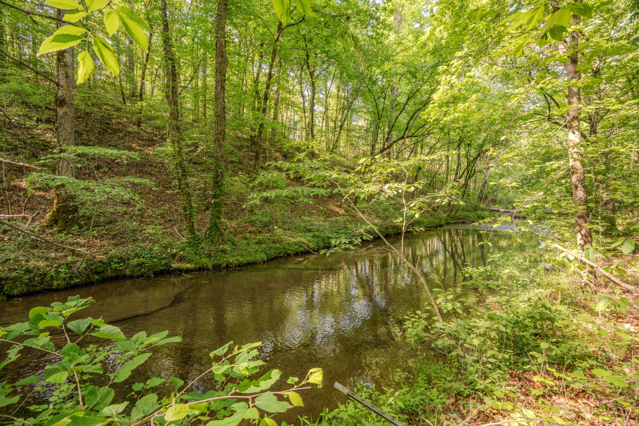 875 Waterloo Road Westpoint, TN 38486 - Photo 67 of 89 Gallery Image 67
