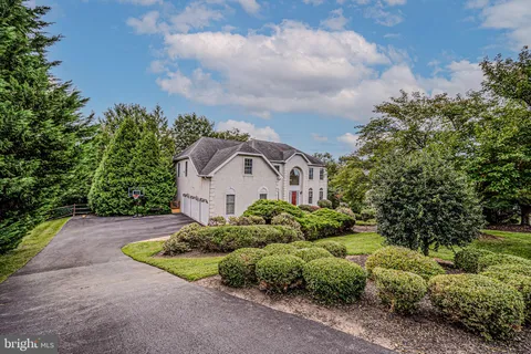 a view of a garden with pathway