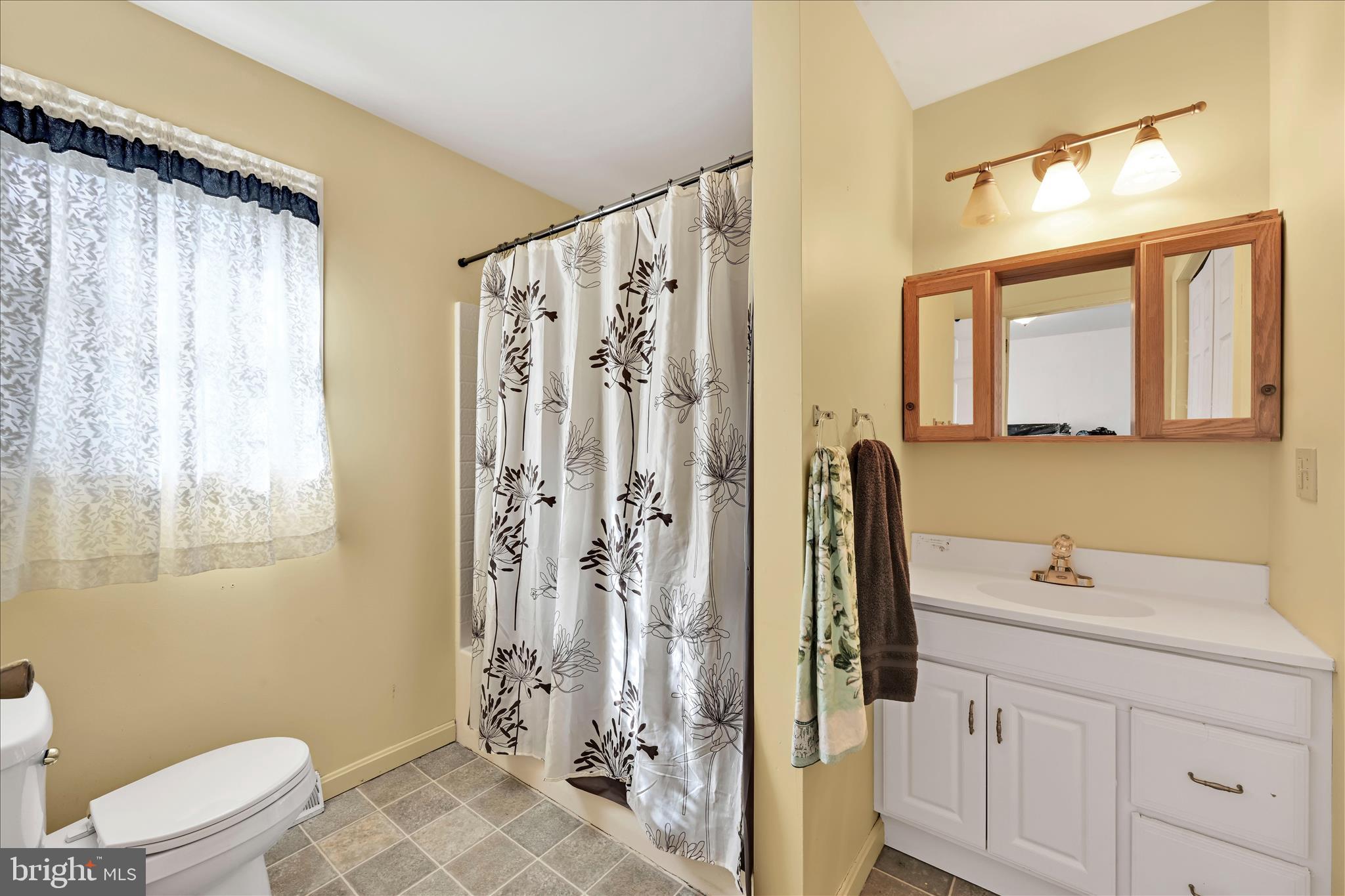 411 Red Hill Road Pequea, PA 17565 - Photo 26 of 50 a bathroom with a sink a toilet and shower