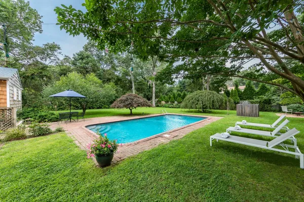 a view of a swimming pool with lawn chairs and plants