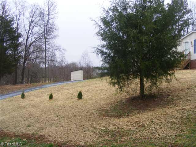 2944 Bumpas Road Staley, NC 27355 - Photo 3 of 12 Bonus. New Landscaping
