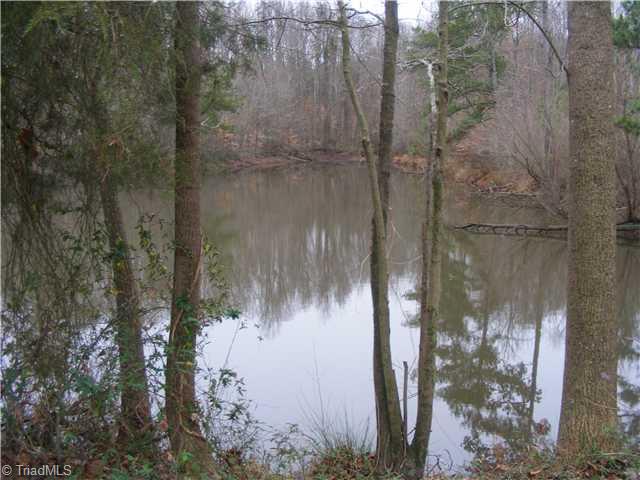 2944 Bumpas Road Staley, NC 27355 - Photo 4 of 12 Other. Pond Access