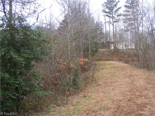 2944 Bumpas Road Staley, NC 27355 - Photo 5 of 12 Bonus. Pond Access