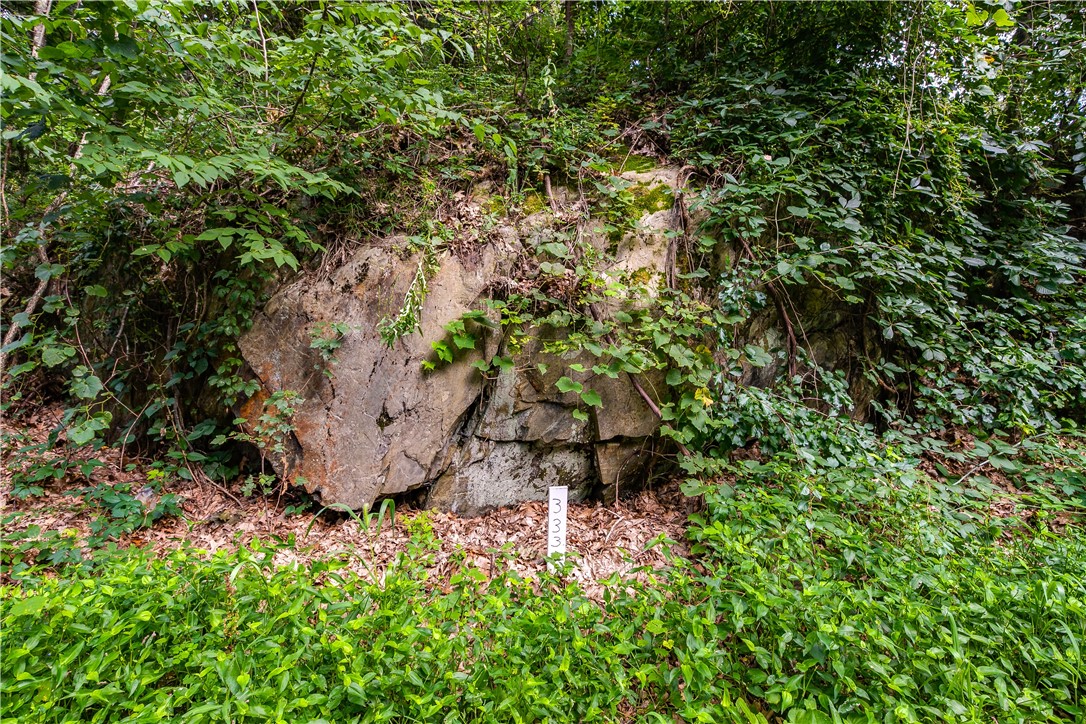 333 Scott Road Cumberland, RI 02864 - Photo 5 of 6