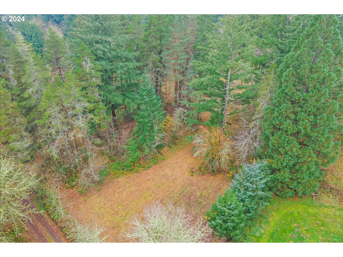 Northwest Plainview Road Portland, OR 97231 - Photo 11 of 37 a view of a yard with a street