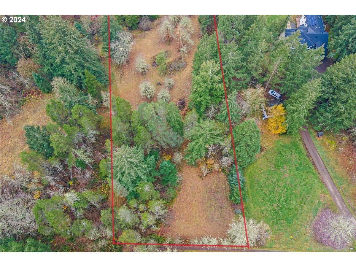Northwest Plainview Road Portland, OR 97231 - Photo 13 of 37 a view of a yard in a forest