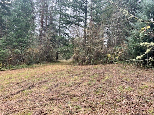 Northwest Plainview Road Portland, OR 97231 - Photo 16 of 37 a view of empty space and yard