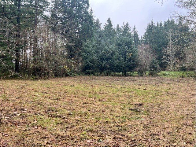 Northwest Plainview Road Portland, OR 97231 - Photo 17 of 37 a view of a yard