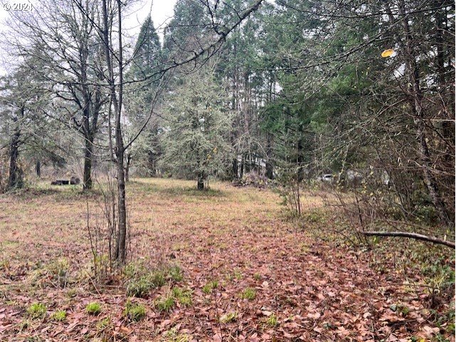 Northwest Plainview Road Portland, OR 97231 - Photo 19 of 37 a view of outdoor space with trees