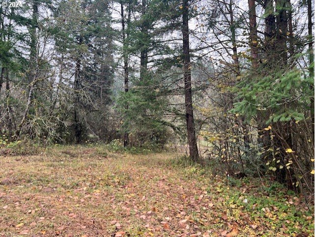 Northwest Plainview Road Portland, OR 97231 - Photo 20 of 37 a view of a yard with large trees