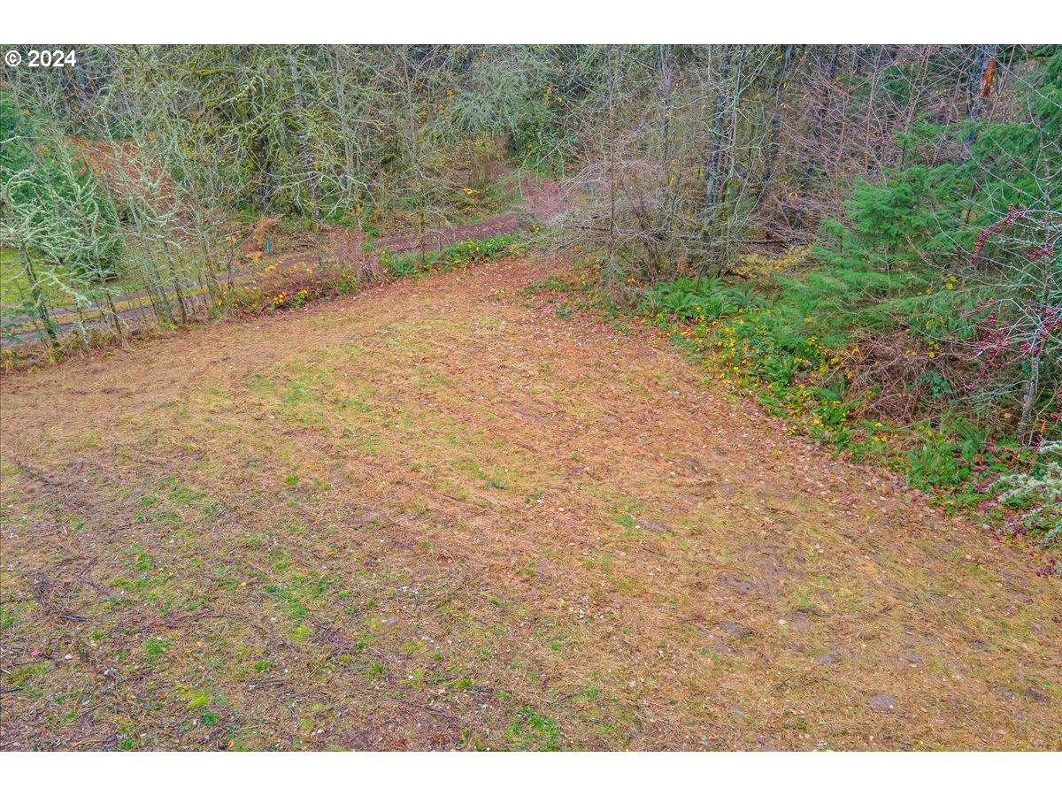 Northwest Plainview Road Portland, OR 97231 - Photo 2 of 37 a view of a dry yard with trees in the background