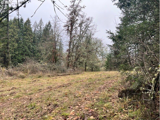 Northwest Plainview Road Portland, OR 97231 - Photo 23 of 37 a view of a yard with a tree