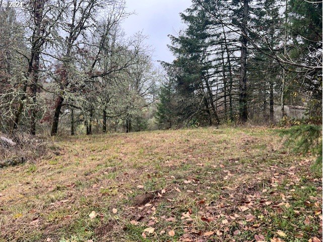 Northwest Plainview Road Portland, OR 97231 - Photo 24 of 37 a view of a yard
