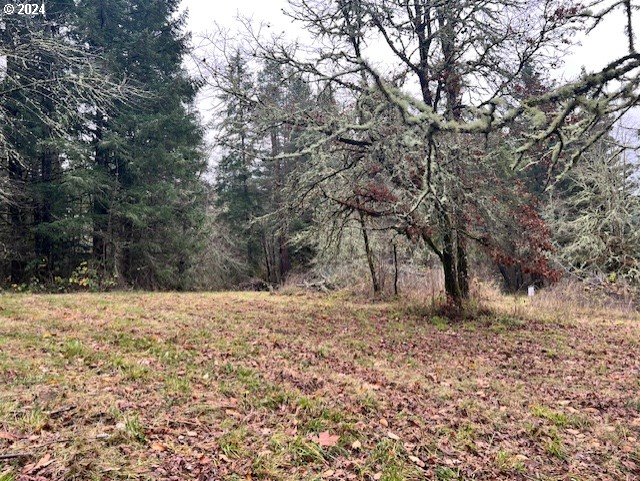 Northwest Plainview Road Portland, OR 97231 - Photo 29 of 37 a view of dirt yard with a tree