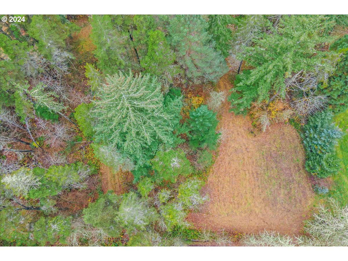 Northwest Plainview Road Portland, OR 97231 - Photo 3 of 37 a view of a garden