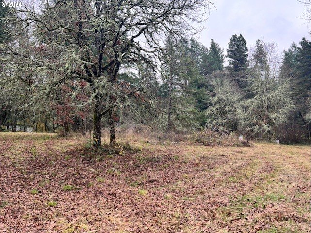 Northwest Plainview Road Portland, OR 97231 - Photo 32 of 37 a view of a forest filled with trees