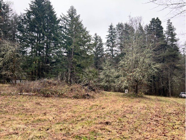 Northwest Plainview Road Portland, OR 97231 - Photo 33 of 37 a view of a yard covered with snow in a yard
