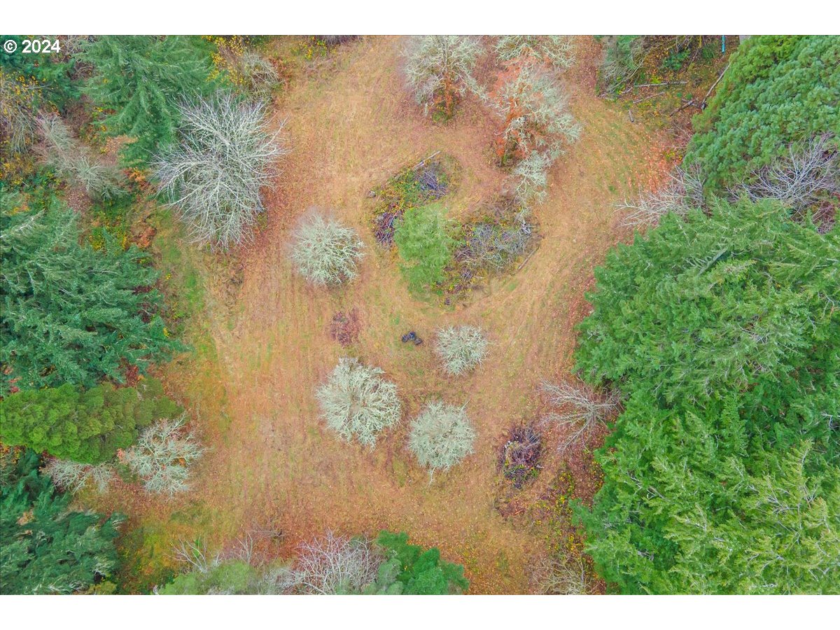 Northwest Plainview Road Portland, OR 97231 - Photo 4 of 37 a view of lake background with tree