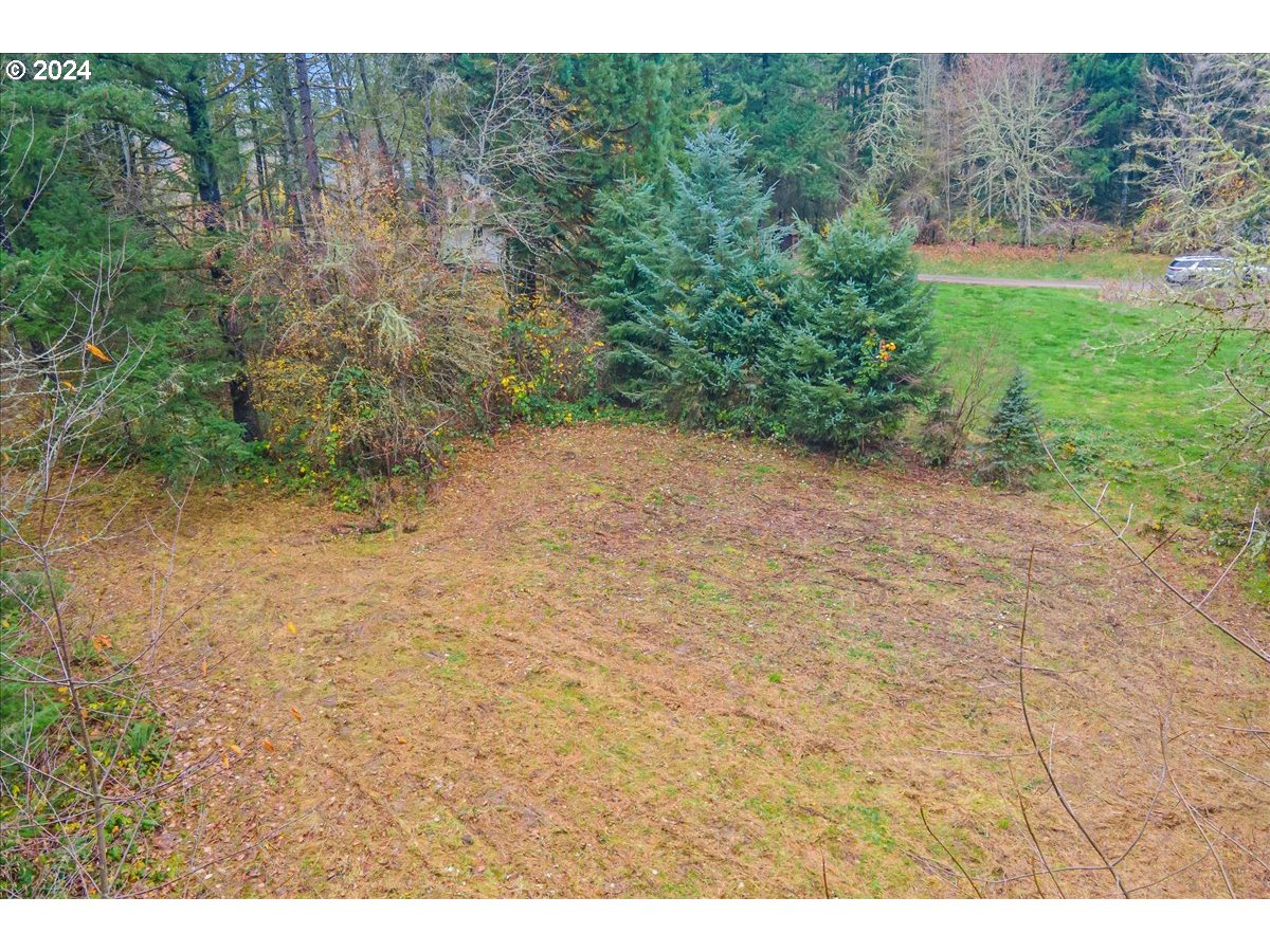 Northwest Plainview Road Portland, OR 97231 - Photo 6 of 37 a view of a yard with a tree