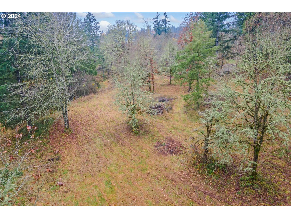Northwest Plainview Road Portland, OR 97231 - Photo 10 of 37 a view of a dry yard with trees in the background