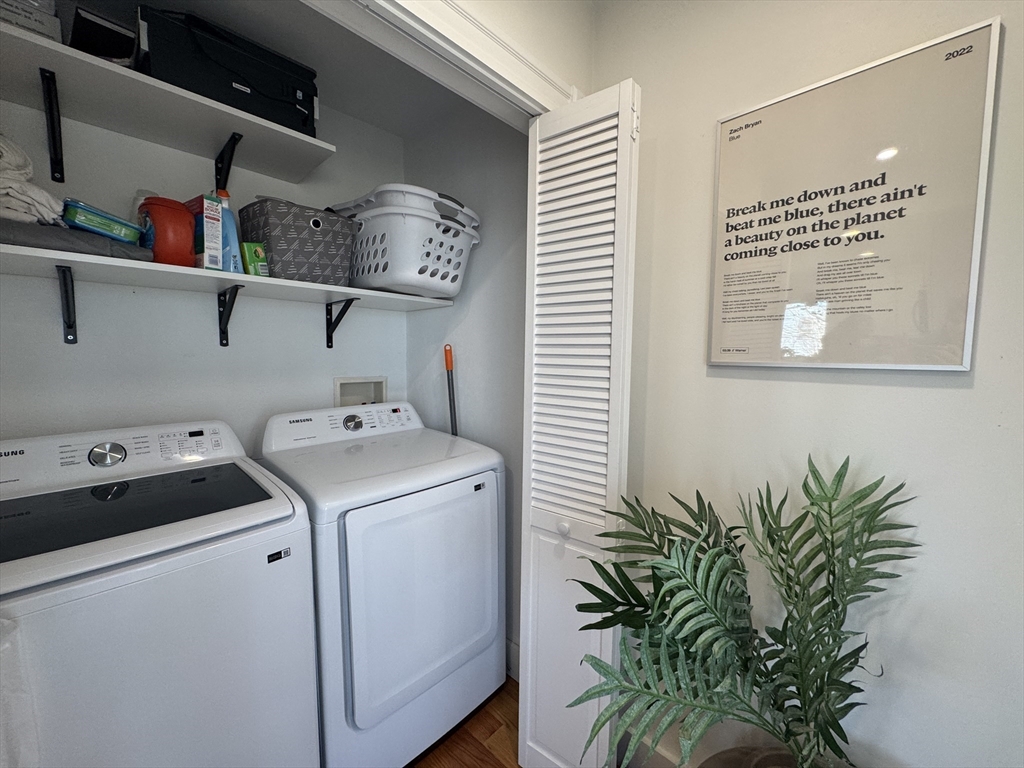 444 Sumner Street, Unit 3 Boston, MA 02128 - Photo 14 of 33